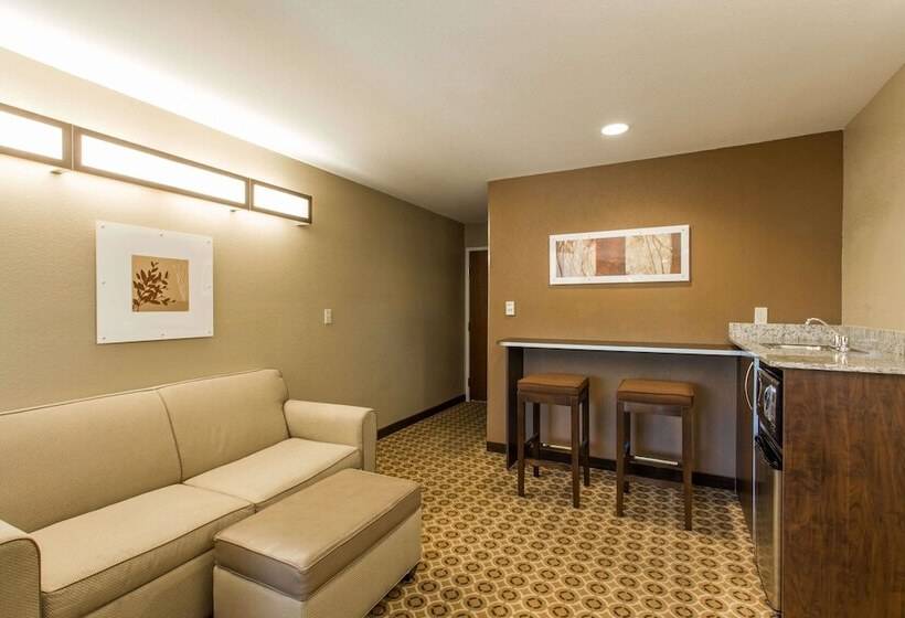 스위트, Microtel Inn & Suites By Wyndham Pearl River/slidell