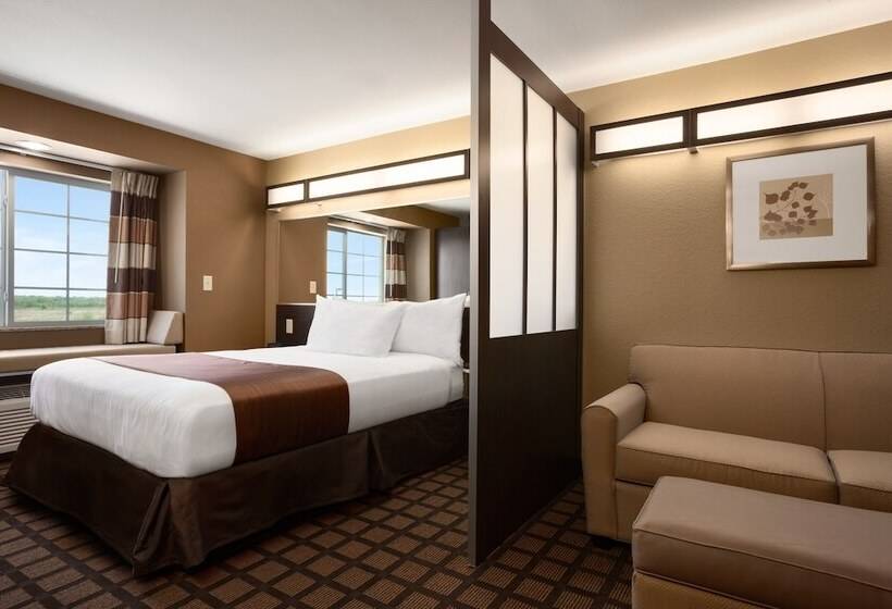 장애인을 위한 스위트, Microtel Inn & Suites By Wyndham Pearl River/slidell