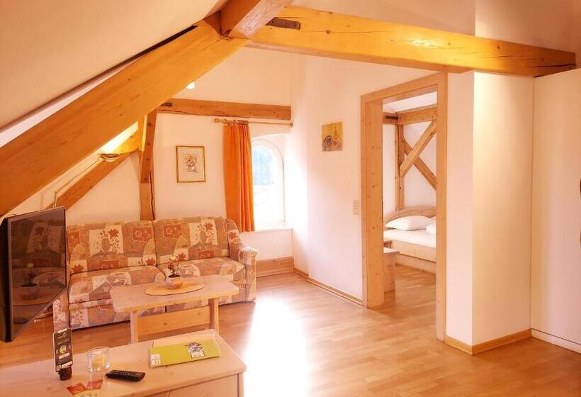 آپارتمان 1 خوابه, Residence Zum Theater