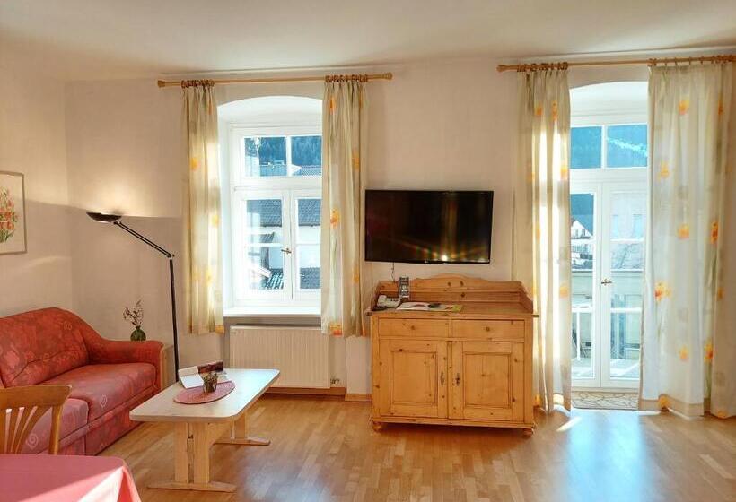 آپارتمان 1 خوابه با بالکن, Residence Zum Theater
