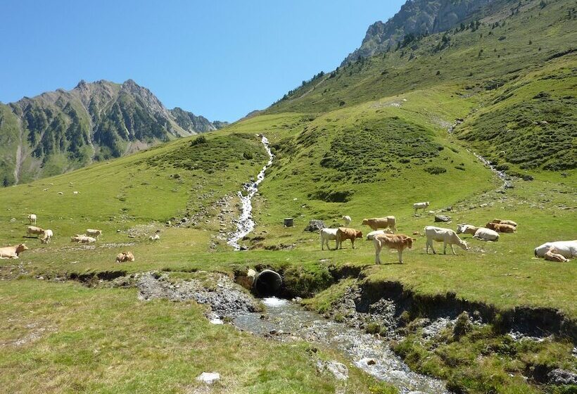 آپارتمان 1 خوابه, Résidence Mer & Golf Pic Du Midi