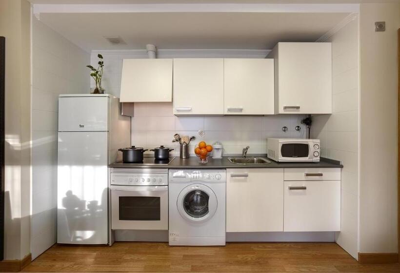 침실 1개 베이직 아피트, Bilbao Apartamentos Atxuri