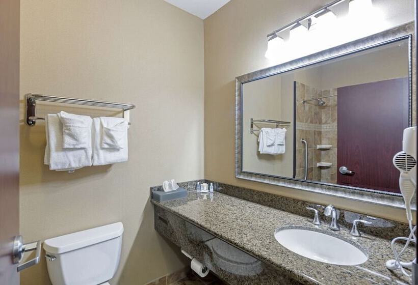 スタンダードルーム, Comfort Inn & Suites Fort Worth  Fossil Creek