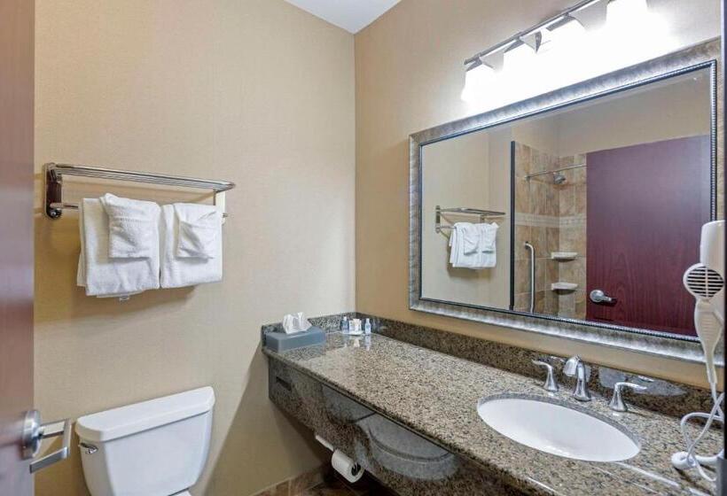 キングサイズベッドのスイートルーム, Comfort Inn & Suites Fort Worth  Fossil Creek