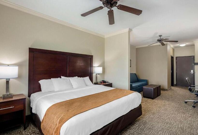 キングサイズベッドのスイートルーム, Comfort Inn & Suites Fort Worth  Fossil Creek