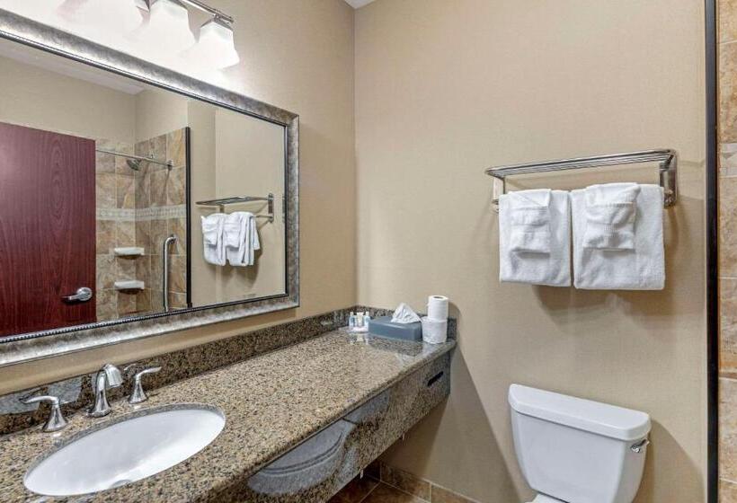 スイート, Comfort Inn & Suites Fort Worth  Fossil Creek