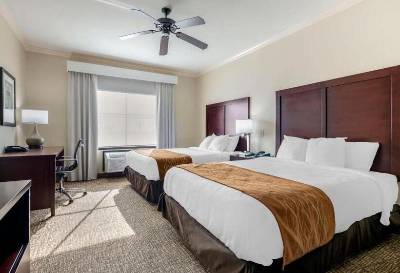 スタンダードルーム, Comfort Inn & Suites Fort Worth  Fossil Creek