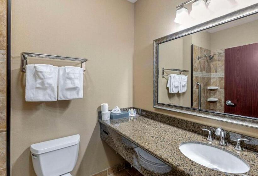 身障者適用スイートルーム, Comfort Inn & Suites Fort Worth  Fossil Creek