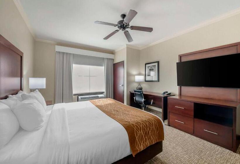 身障者適用キングサイズベッドルーム, Comfort Inn & Suites Fort Worth  Fossil Creek