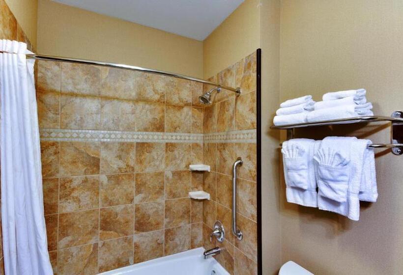 身障者適用スタンダードルーム, Comfort Inn & Suites Fort Worth  Fossil Creek