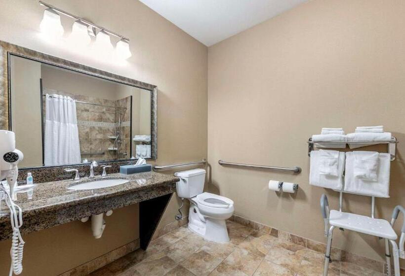 身障者適用スイートルーム, Comfort Inn & Suites Fort Worth  Fossil Creek