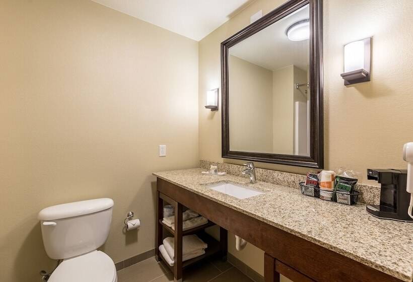 Люкс, Comfort Suites Burlington