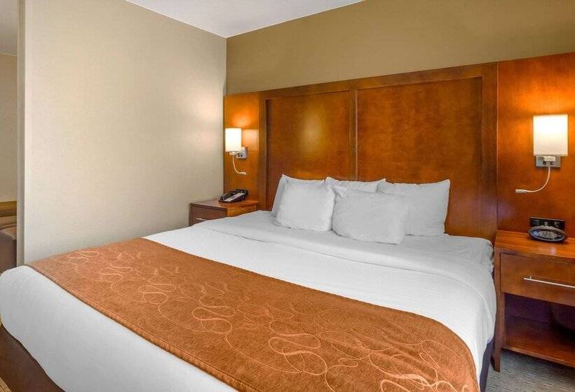 Люкс, Comfort Suites Burlington