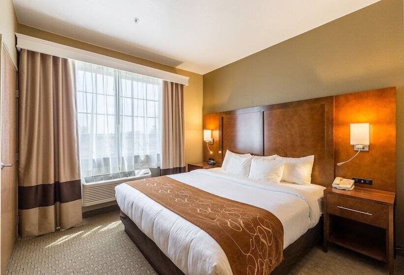 Люкс, Comfort Suites Burlington