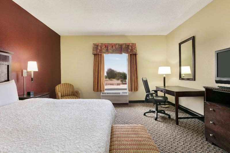 اتاق استاندارد با تخت بزرگ, Hampton Inn & Suites Lawton