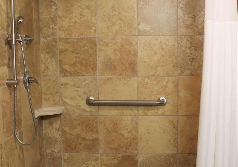 스탠다드 룸 킹사이즈 침대, Hampton Inn & Suites Thibodaux