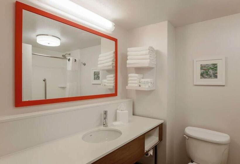 スタンダードルーム, Hampton Inn & Suites Tallahassee I 10/thomasville Road, Fl
