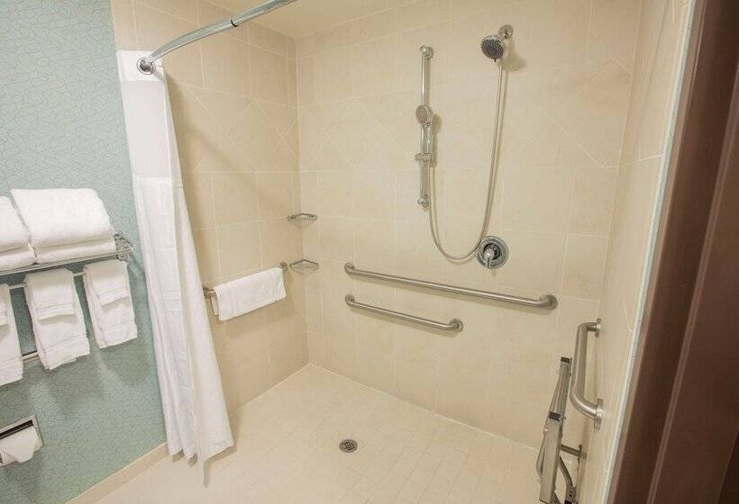 장애인을 위한 스탠다드 룸, Hilton Garden Inn Atlanta South/mcdonough