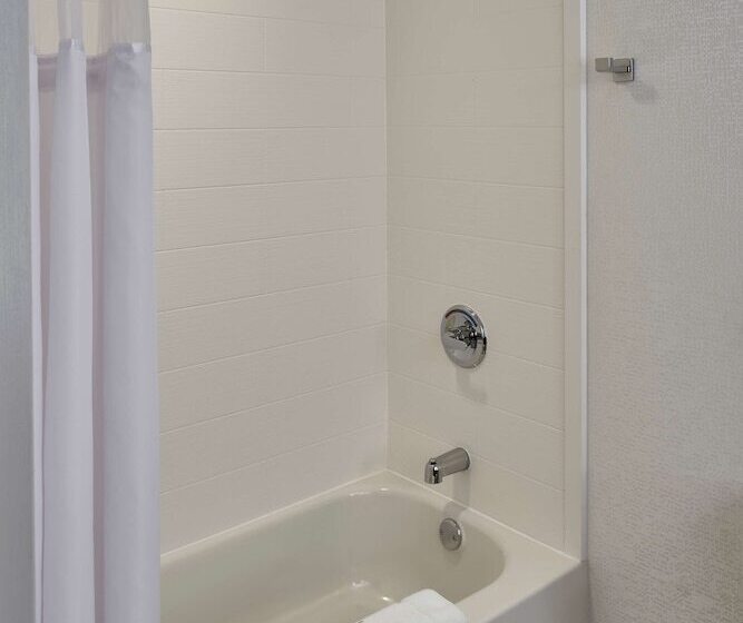 Номер Стандарт, Hilton Garden Inn Detroit Downtown