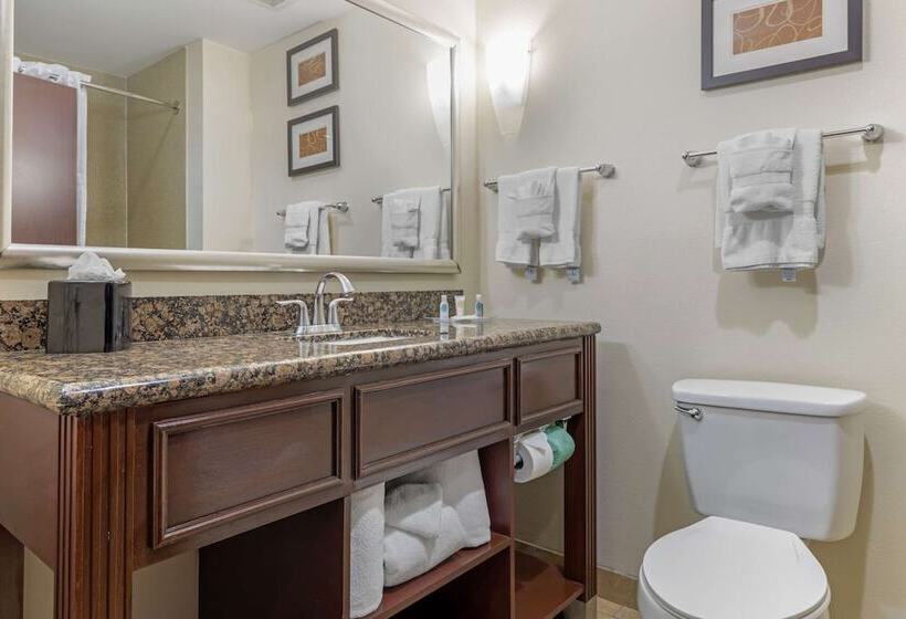 Люкс, Comfort Suites West Dallas  Cockrell Hill