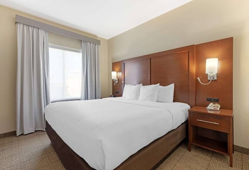 Люкс Адаптированный для Инвалидов, Comfort Suites West Dallas  Cockrell Hill