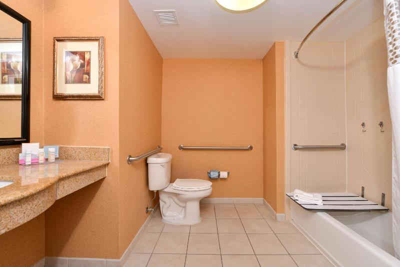 스탠다드 룸 킹사이즈 침대, Hampton Inn & Suites Fredericksburg South