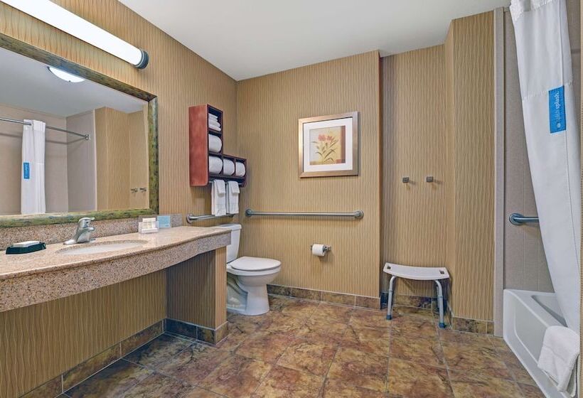 Номер Стандарт Адаптированный для Инвалидов, Hampton Inn Deming