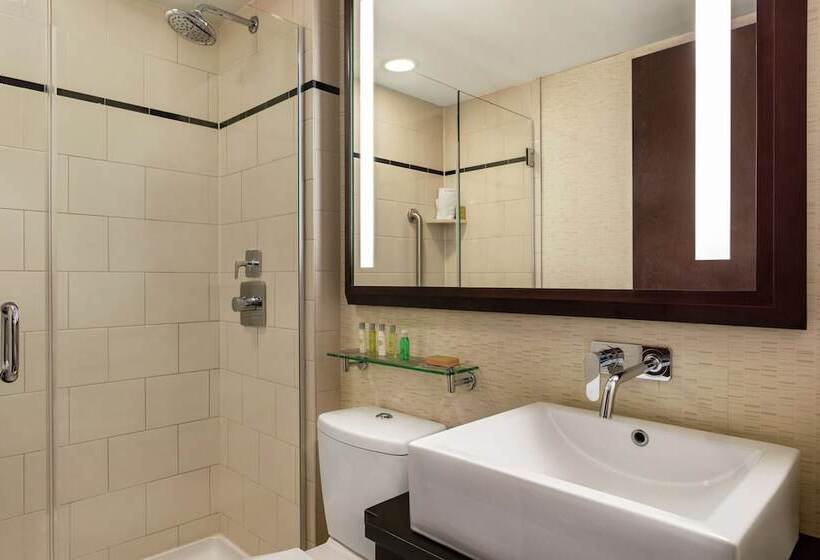 스탠다드 룸 더블 침대, Doubletree By Hilton New York Downtown