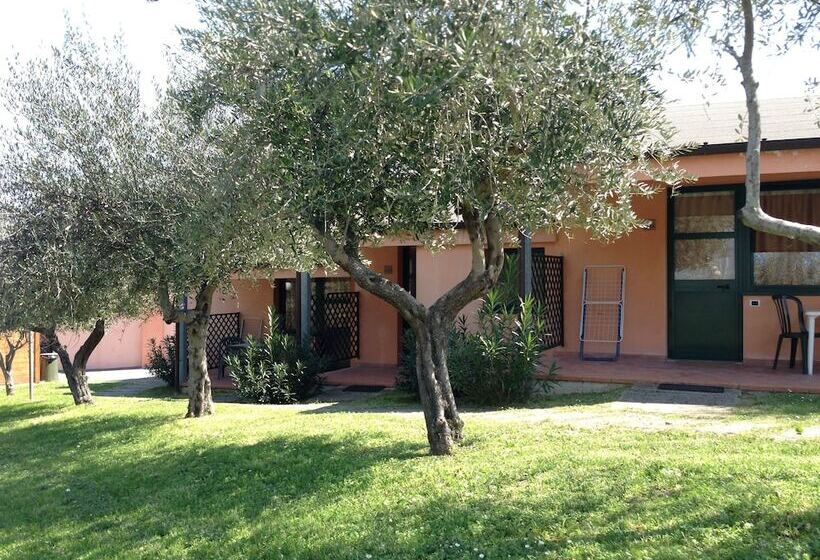 اتاق کلاسیک, Garden Village San Marino