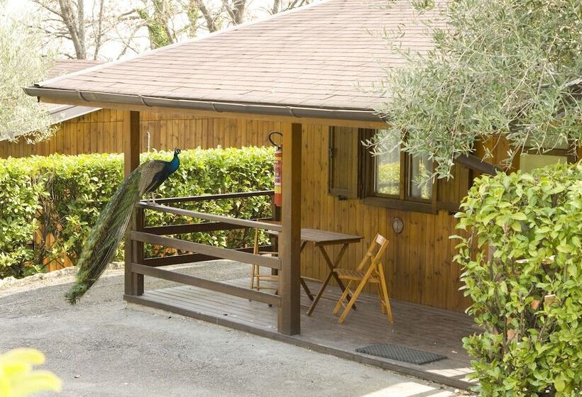 استودیوی استاندارد, Garden Village San Marino