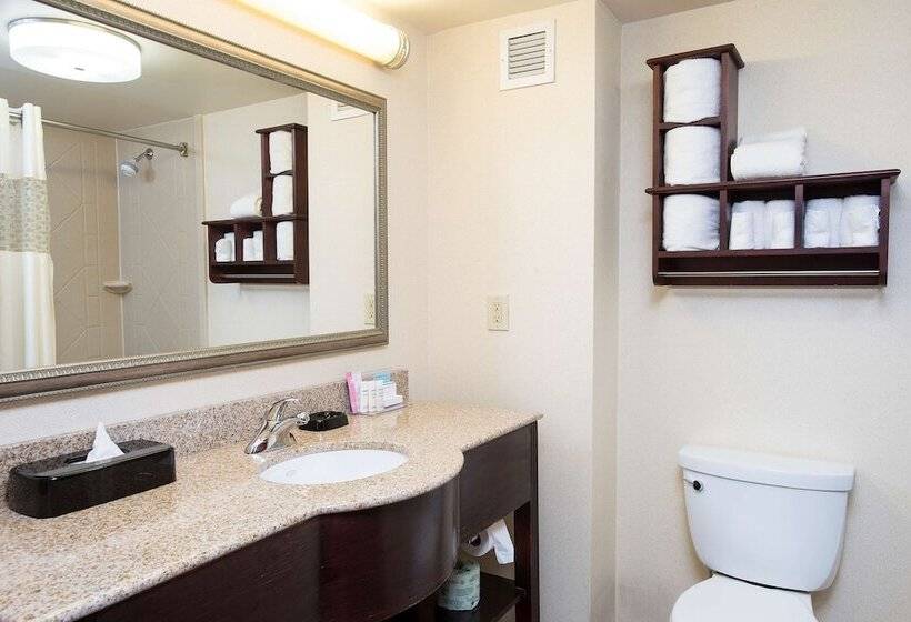 Студия Стандарт, Hampton Inn & Suites Cincinnati Union Center