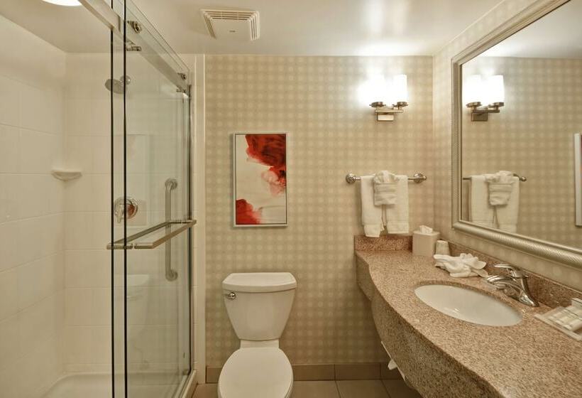 Номер Стандарт, Hilton Garden Inn Riverhead