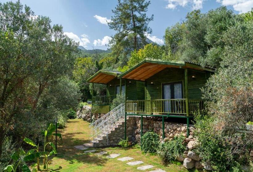 سوییت سوپریور, Apa Mountain Lodge