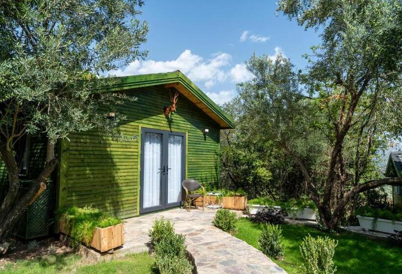 سوییت سوپریور, Apa Mountain Lodge