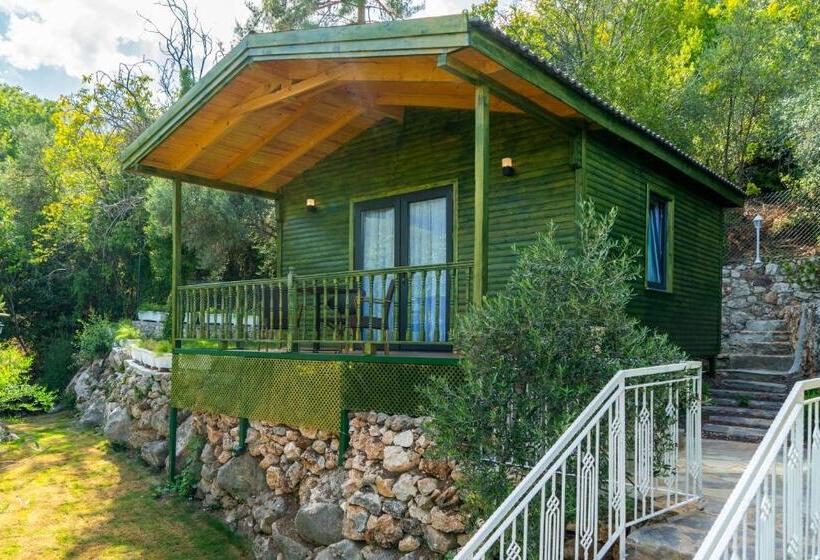 سوییت سوپریور, Apa Mountain Lodge