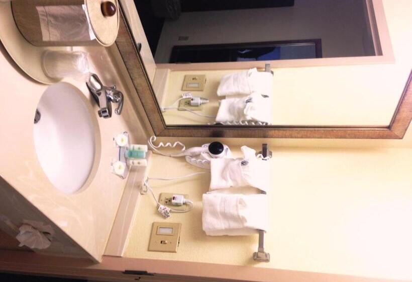 带大床的标准间, Comfort Inn & Suites Ft.jackson Maingate