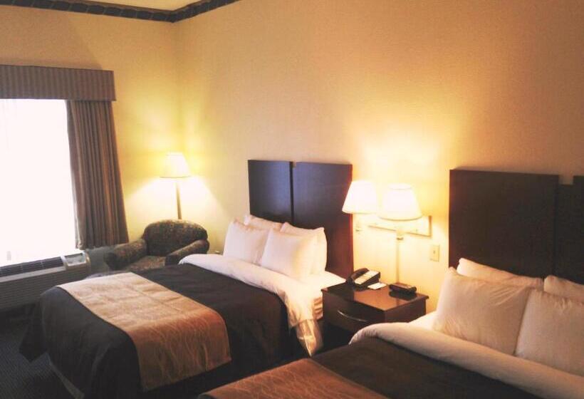标准间, Comfort Inn & Suites Ft.jackson Maingate