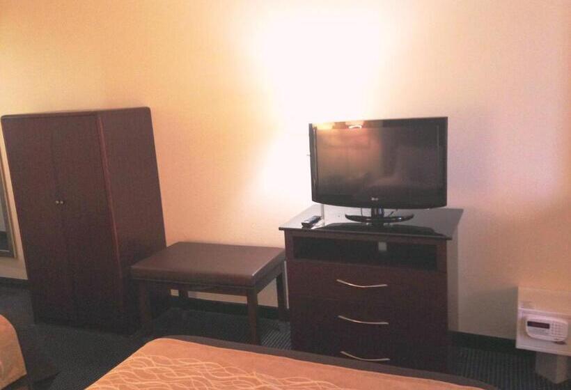 套房, Comfort Inn & Suites Ft.jackson Maingate
