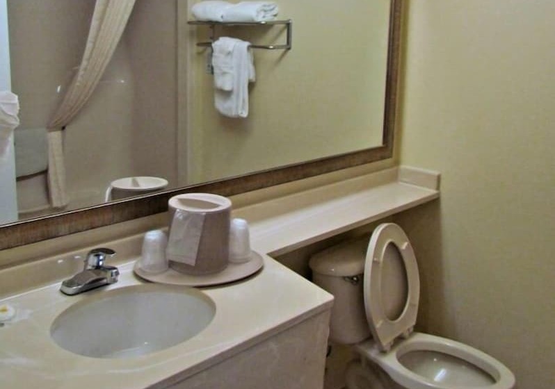 套房, Comfort Inn & Suites Ft.jackson Maingate