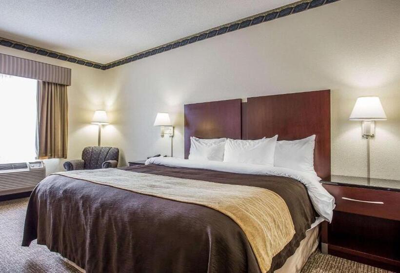 带大床的标准间, Comfort Inn & Suites Ft.jackson Maingate