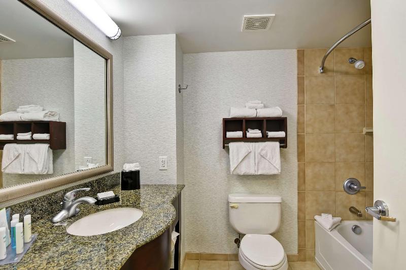 스탠다드 룸 킹사이즈 침대, Hampton Inn & Suites Wilkes Barre/scranton