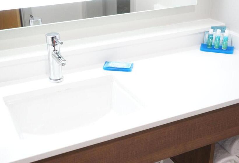 Executive-huone, Holiday Inn Express Fremont   Milpitas Central, An Ihg