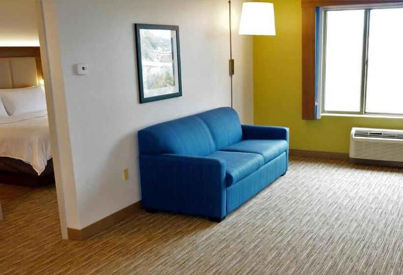 Superior-sviitti, Holiday Inn Express Fremont   Milpitas Central, An Ihg