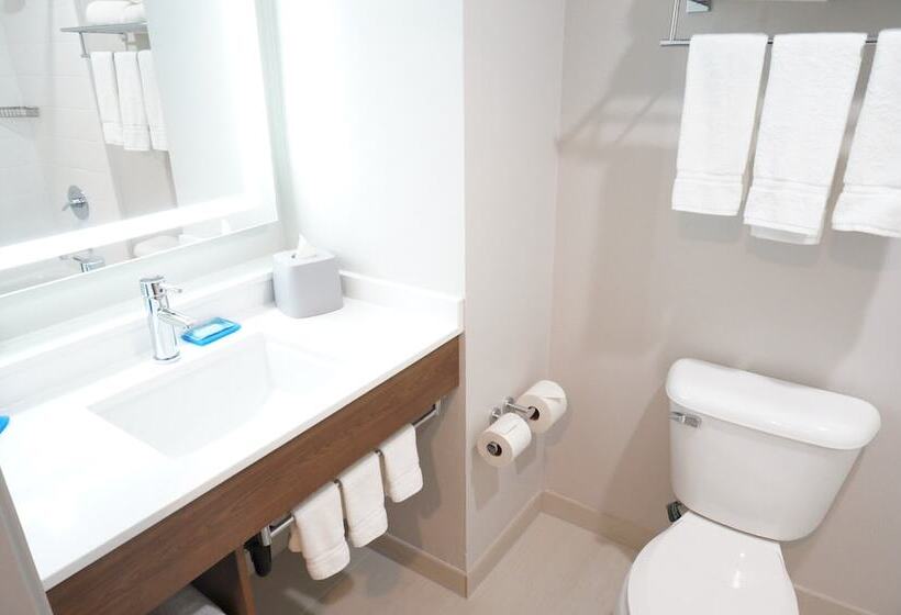 Standard-huone King-vuode, Holiday Inn Express Fremont   Milpitas Central, An Ihg