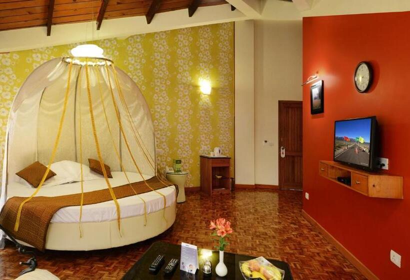 스위트, Honeymoon Inn Shimla