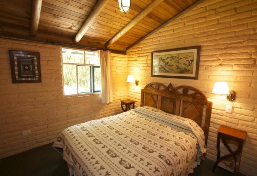 Номер Стандарт, Las Palmeras Inn