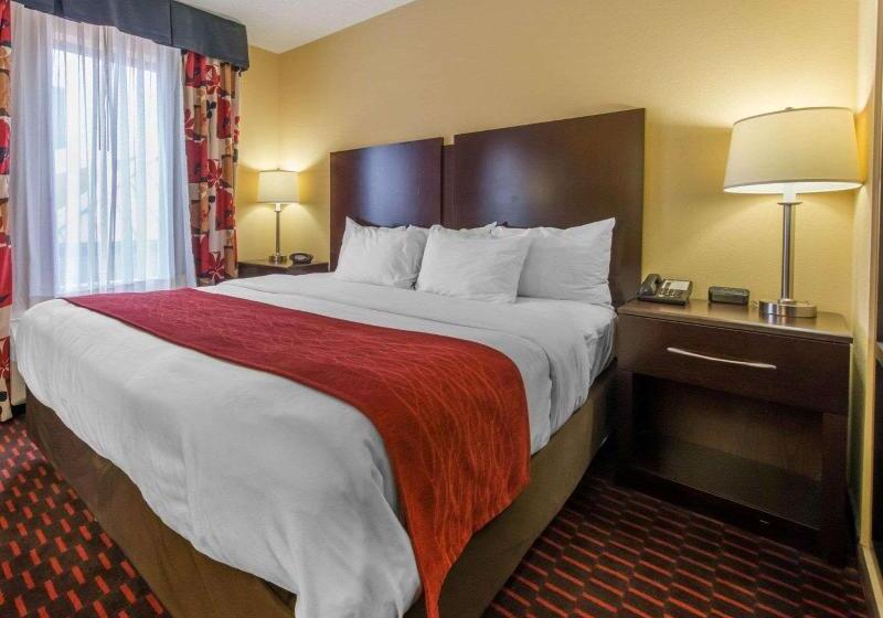 Люкс Кровать Кинг, Comfort Suites Altoona