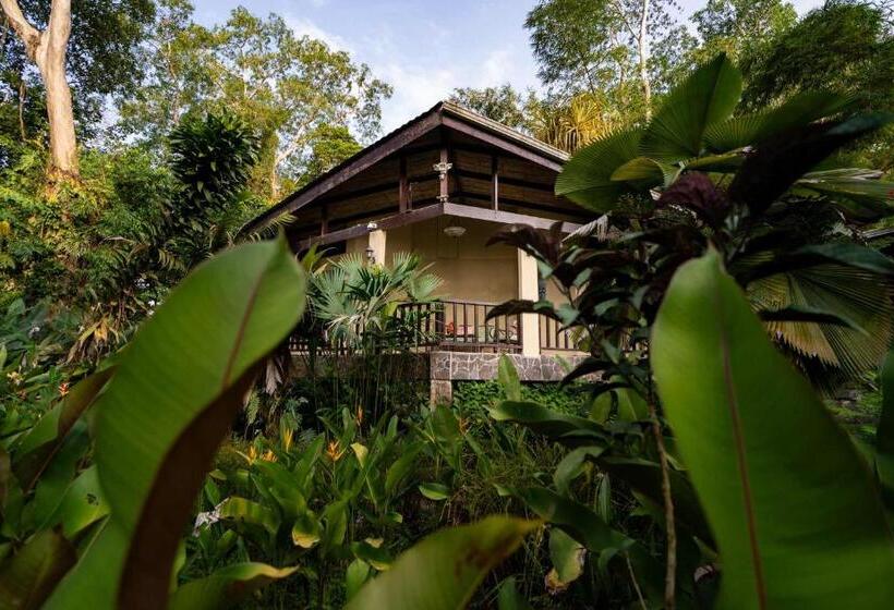 اتاق استاندارد با تخت بزرگ, Heliconia Island