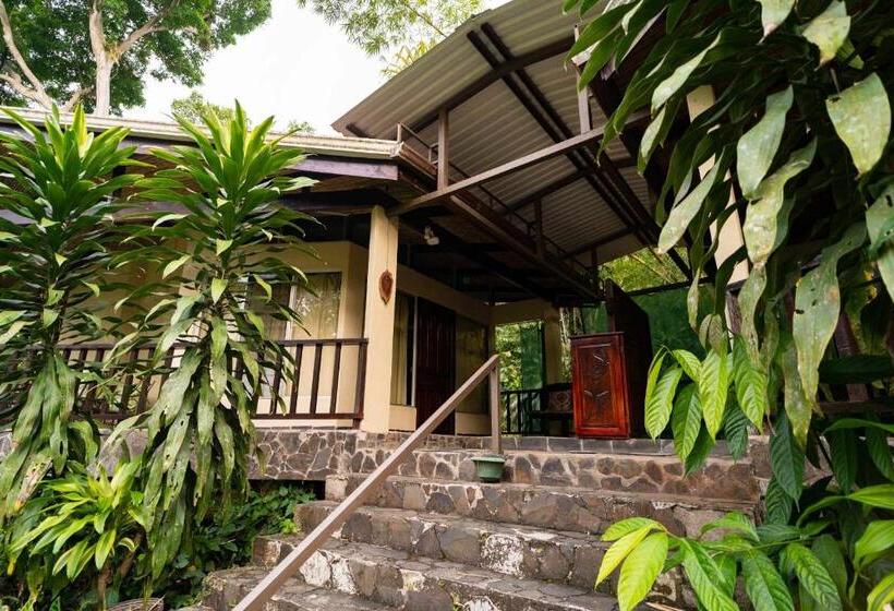 اتاق استاندارد با تخت بزرگ, Heliconia Island