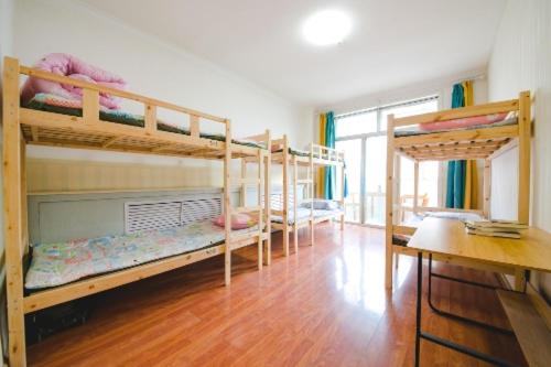 تختخواب در اتاق مشترک, Hohhot Hanggai International Youth Hostel